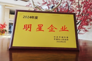 新春新景新气象 | 太阳集团官网在平湖三干大会上喜摘荣誉！